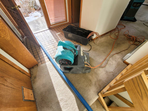 Best Water damage cleanup near me  in Somers, WI