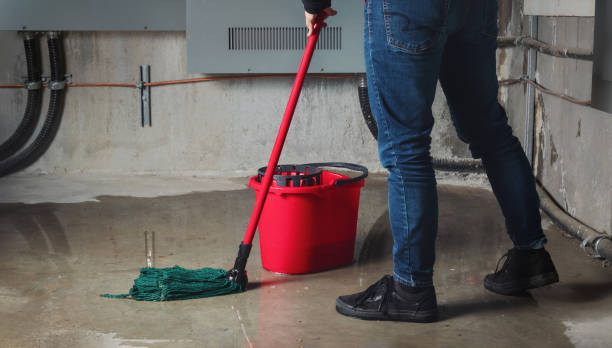 Trusted Somers, WI Water damage restoration Experts