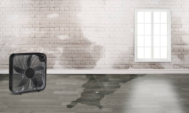 Best Water damage restoration near me  in Somers, WI