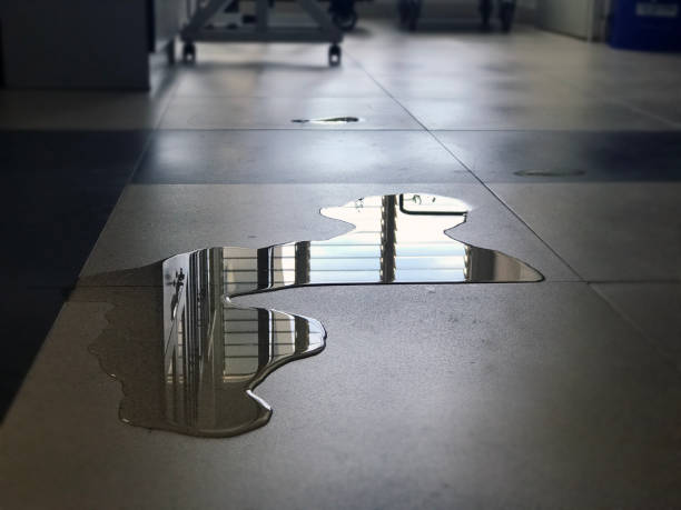Best Water damage mitigation services  in Somers, WI
