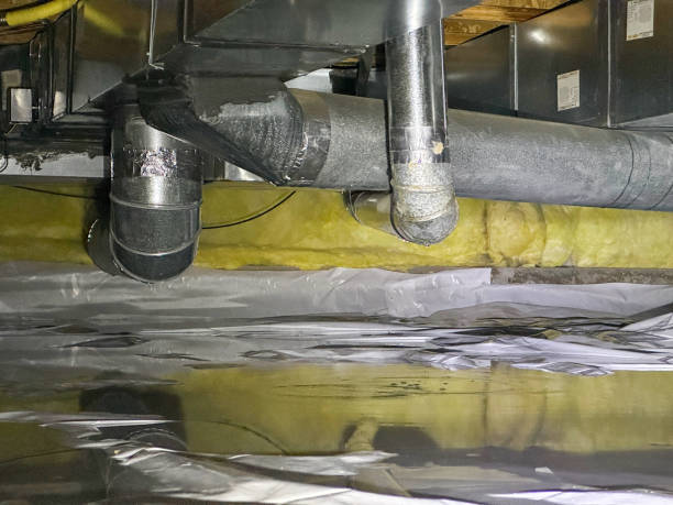 Best Flood damage cleanup  in Somers, WI