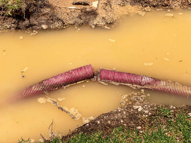 Best Water damage contractors near me  in Somers, WI