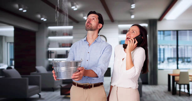 Best Water damage restoration company  in Somers, WI