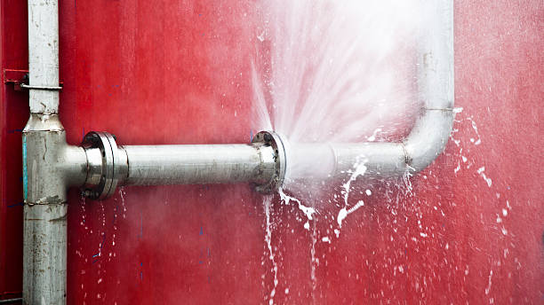Best Mold removal after water damage  in Somers, WI